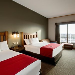 Family King Suite